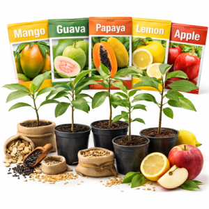 Fruit Seeds & Saplings